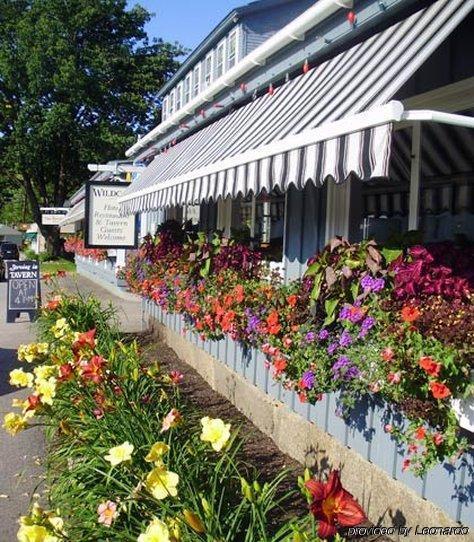 Wildcat Inn And Tavern Jackson Exterior foto